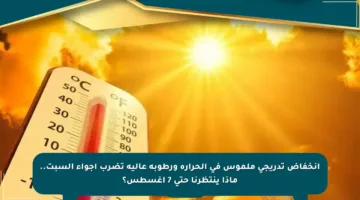 انخفاض تدريجي ملموس في الحرارة ورطوبة عالية تضرب أجواء السبت.. ماذا ينتظرنا حتى 7 أغسطس؟
